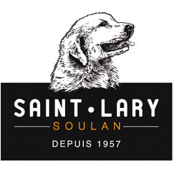 logo Saint Lary Soulan