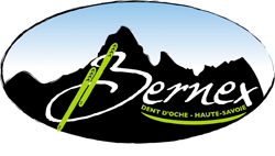 logo Bernex