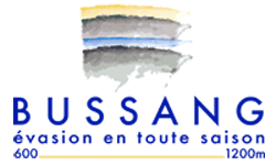 logo Bussang - Larcenaire