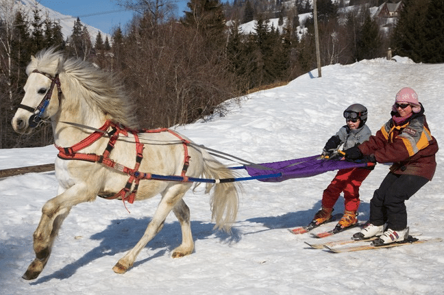 Quel sport extrême choisir ?