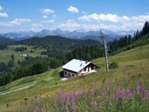 Location-Chalet-Alpes
