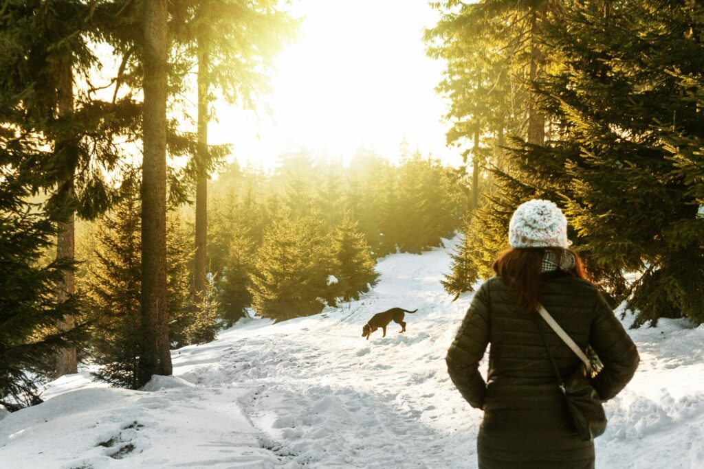 partir au ski avec son chien