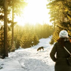 Partir au ski avec son chien, c’est possible ?