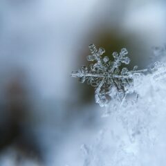 A quelle température neige-t-il ?